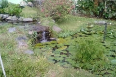 Small pond at El Oasis Hotel in Boquete, Panama