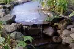 Waterfall at El Oasis