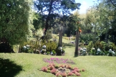 Jackie's back yard