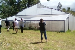 Jackie had this large greenhouse built for $2000
