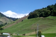 The mountain region is the breadbasket of Panama. Many fruits and vegetables are grown on the mountainsides here.