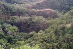 Los Molinos canyon view